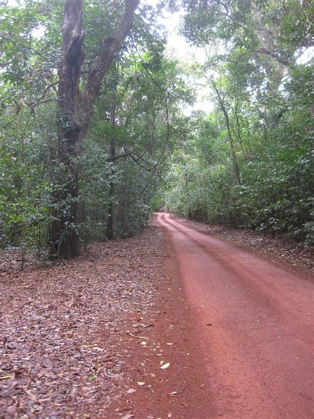 6016 Cape York IXUS Jul11 (Medium).JPG